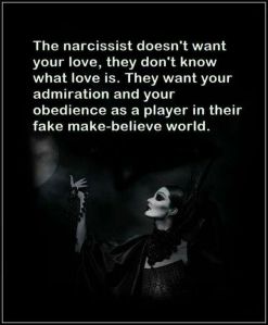 real narcissist